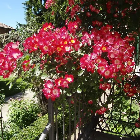 Bed and breakfast Hazelnut Valley