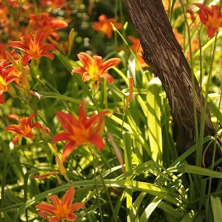 Bed and breakfast Hazelnut Valley