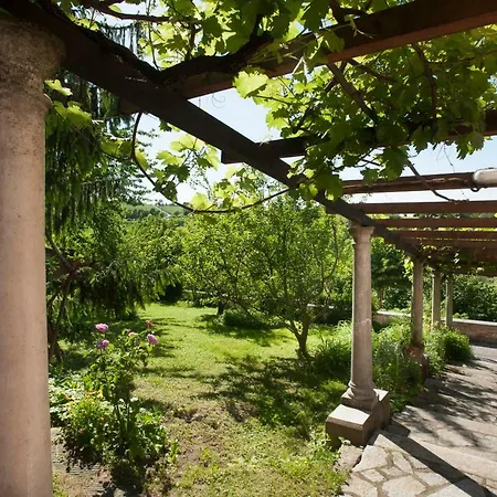 Hazelnut Valley