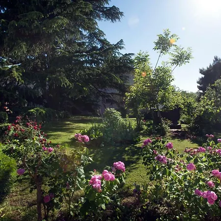 Hazelnut Valley Bed & Breakfast