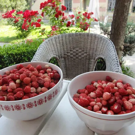 Bed & Breakfast Hazelnut Valley *