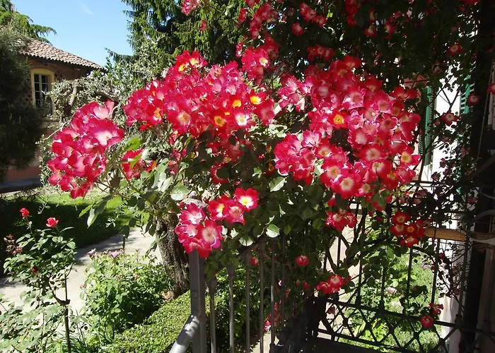 Bed & Breakfast Hazelnut Valley