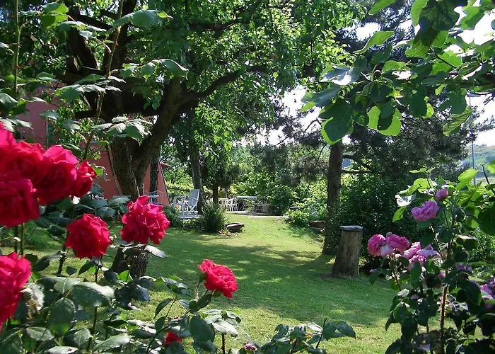 Bed & Breakfast Hazelnut Valley