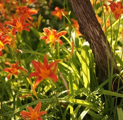 Bed & Breakfast Hazelnut Valley