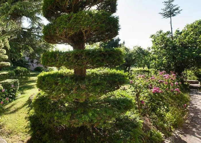 Hazelnut Valley Bed & Breakfast Guarene