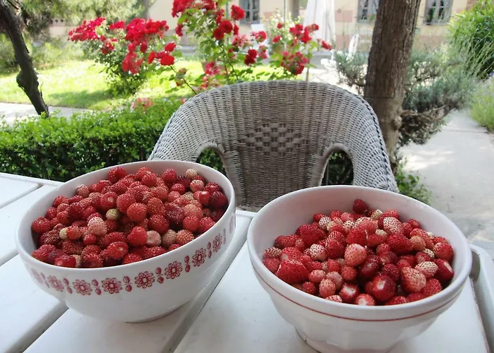 Bed & Breakfast Hazelnut Valley 4*